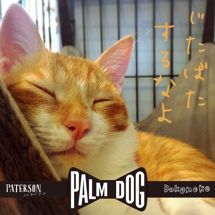 996d64c8 ca42 42c7 b606 cf902ac953aa