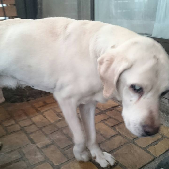 996dc160 3fba 4ec0 a199 519f0f318f87