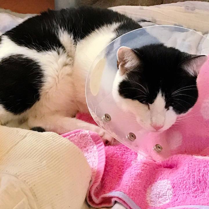 996e6f30 8f57 4aaf a94d 4c5b6603e708