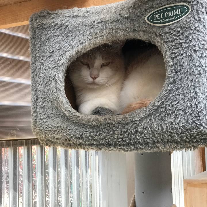 996e8b72 d6a5 4122 85bd 51be7a2888d6