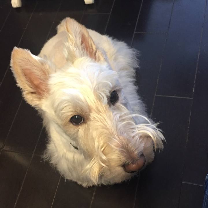 996efb4d 540d 4f8b 8898 3c15d23cd66f