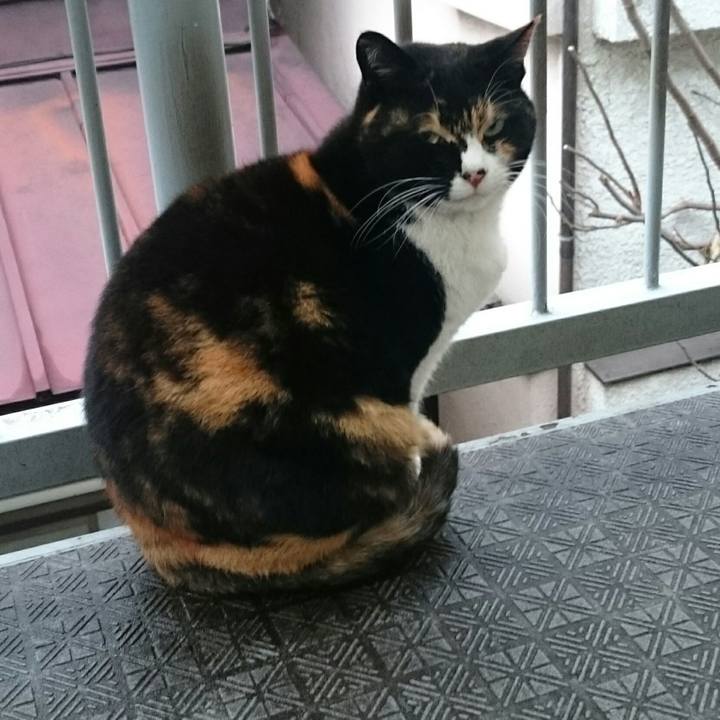 99702fe8 1d38 4c08 bfc5 b5326a8d08cc