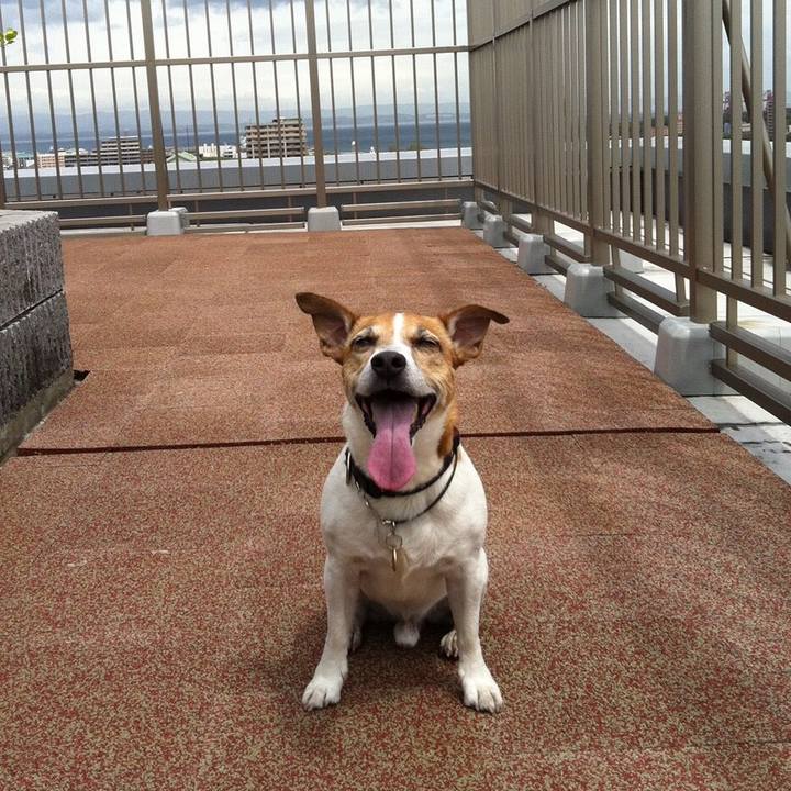 99708d0a ec21 487e 8224 d8200281c6e6