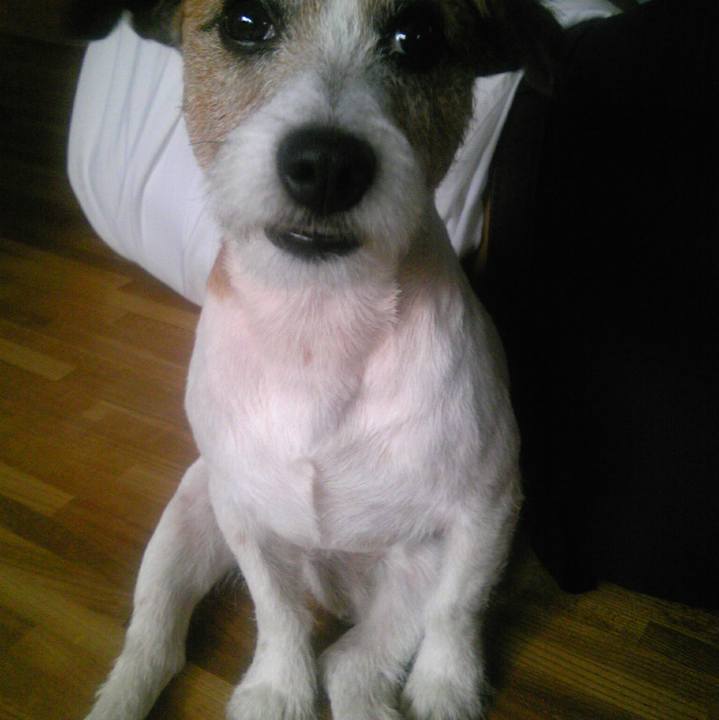 9970d144 fece 4e4a bfa2 2af83abaaaee