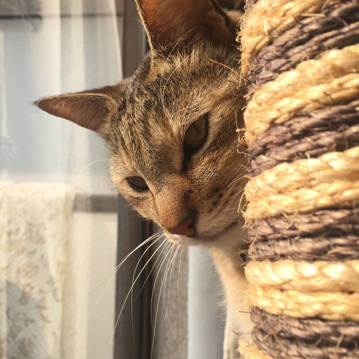 997139ac 0b93 4e7e bea0 530f5e610a1f