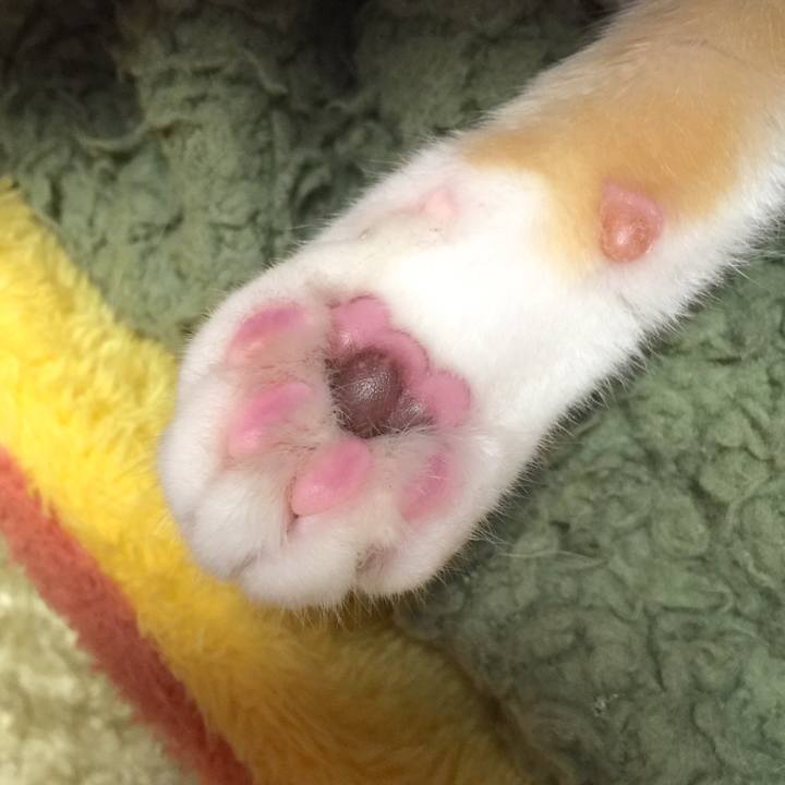 9973182a 2f8d 4578 bd79 ea4e7cb22e37