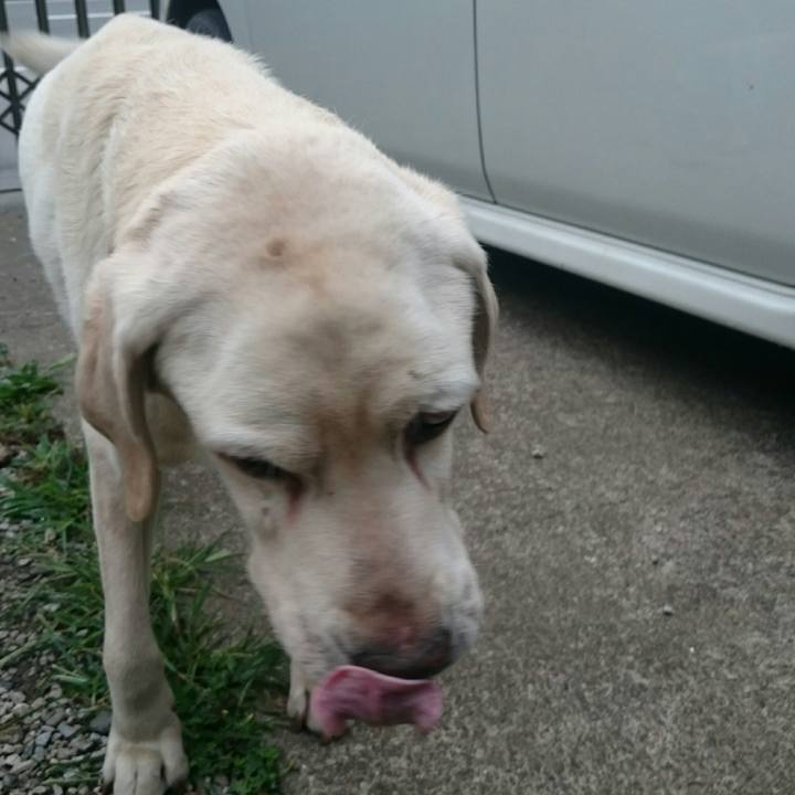 99737f15 ee70 40ff 8b24 254348d70342