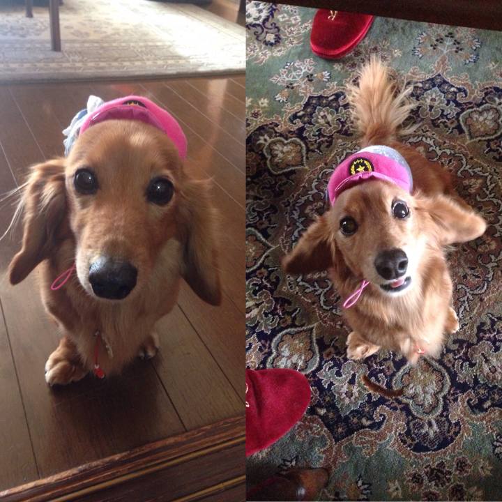 99739d73 e2de 4644 89ec 5052a5fd895f