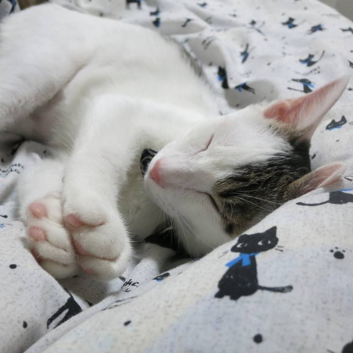 99752319 43e8 464e 9b78 5946d3957755