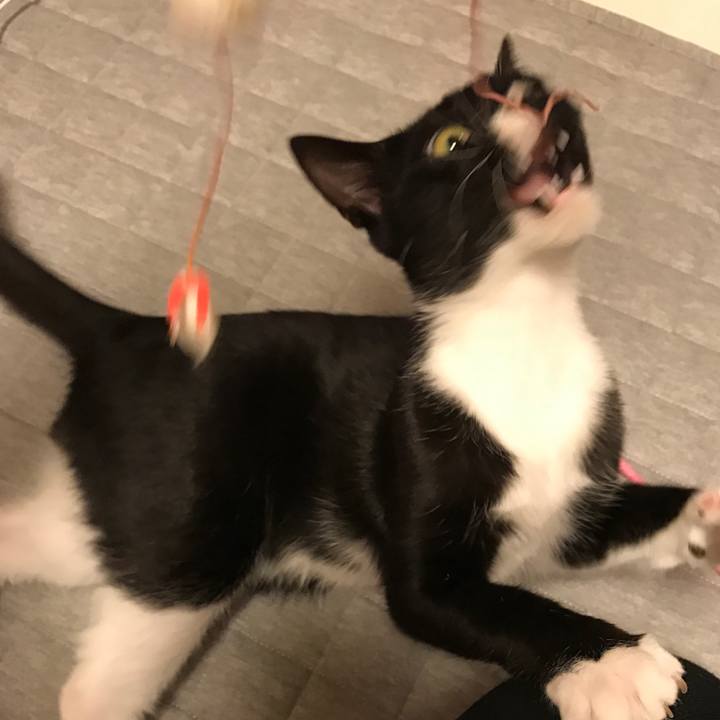 99755147 8451 4562 958d 57f7c86b6895