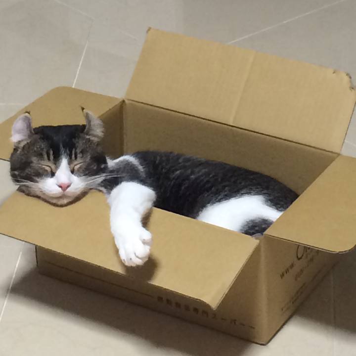 997583cc e62f 498e 97f5 782b46fa3566