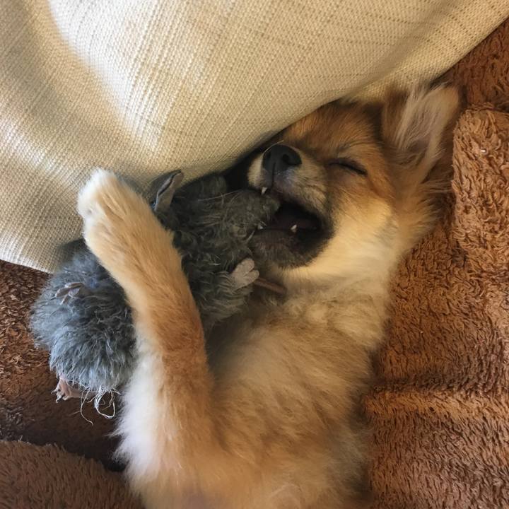 9975a3e7 c206 4465 9f36 31a90232a9c0