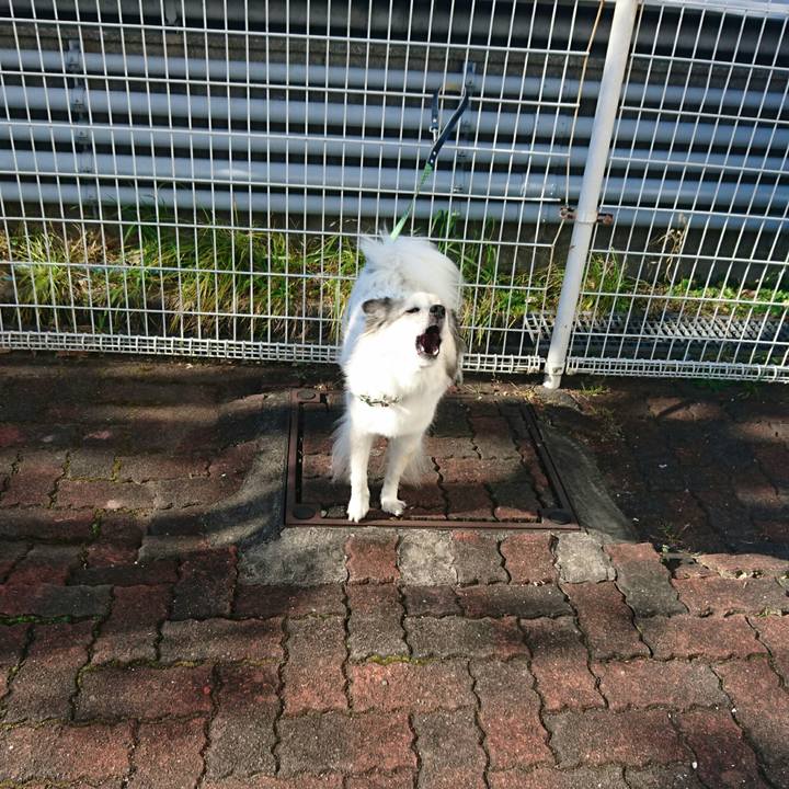 9976246f d4cf 4624 8b4d 599390133ac1