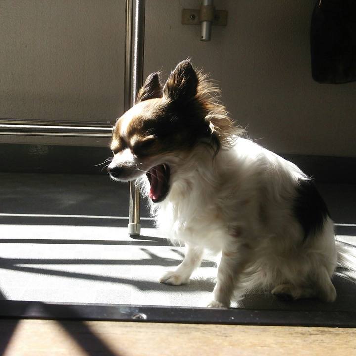 99767e91 6a95 49de 938a 5b6160caa973