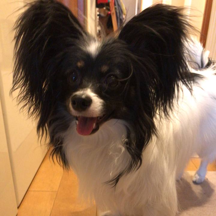 99771249 1311 45f4 a956 020a96415519