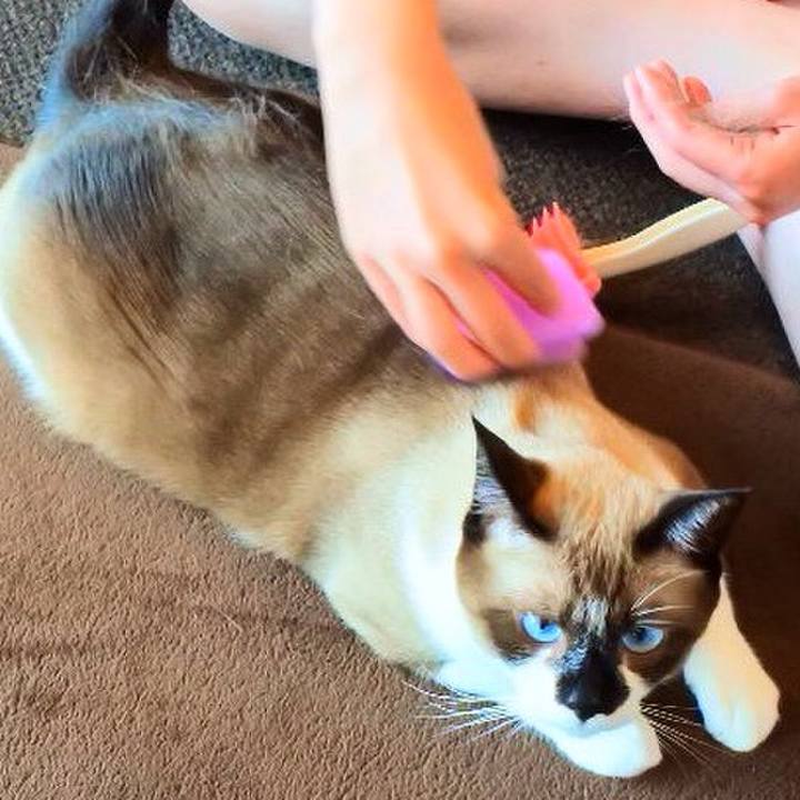 997746aa 2c2f 44de b4b4 c5ea283e358f