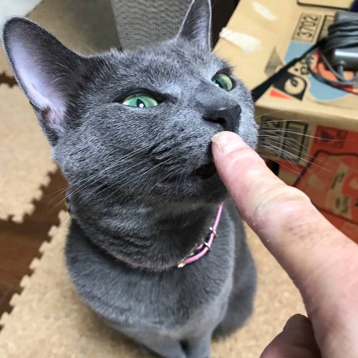 9978d0f7 d712 4d7a 86ac cb595a8f99d2