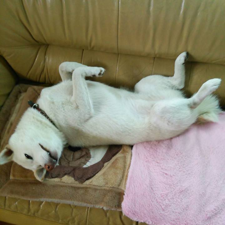 9979237a e6e1 45c6 bf5e bb108843596b