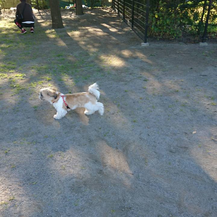 99795268 6ac9 4290 a63c 9451dc46f19f