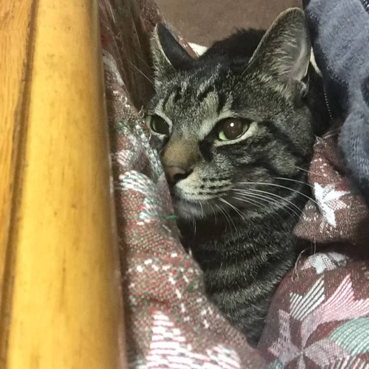 99798e80 a099 41eb 92d3 d3526a528ed5