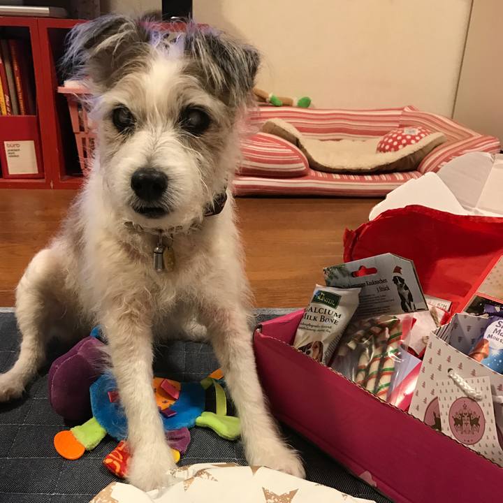 997a1744 81f0 485d be23 2a3eb546da8d