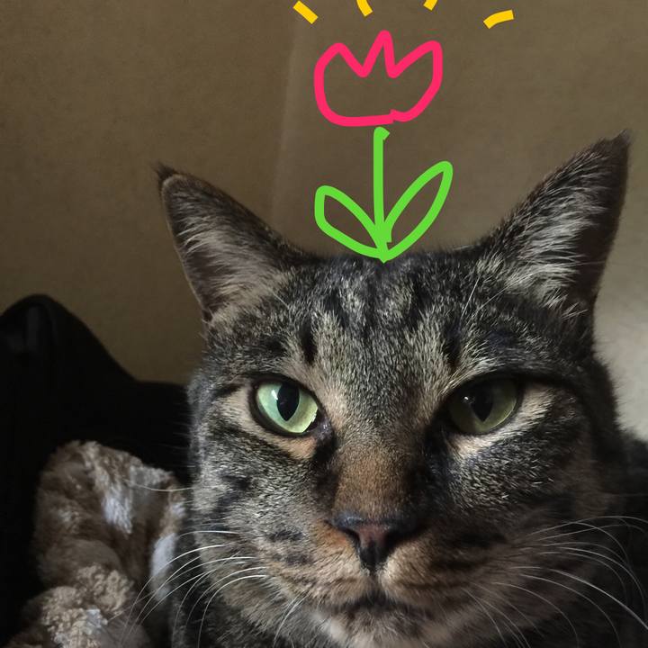 997ad33e 2636 4327 9523 5cdce7435056