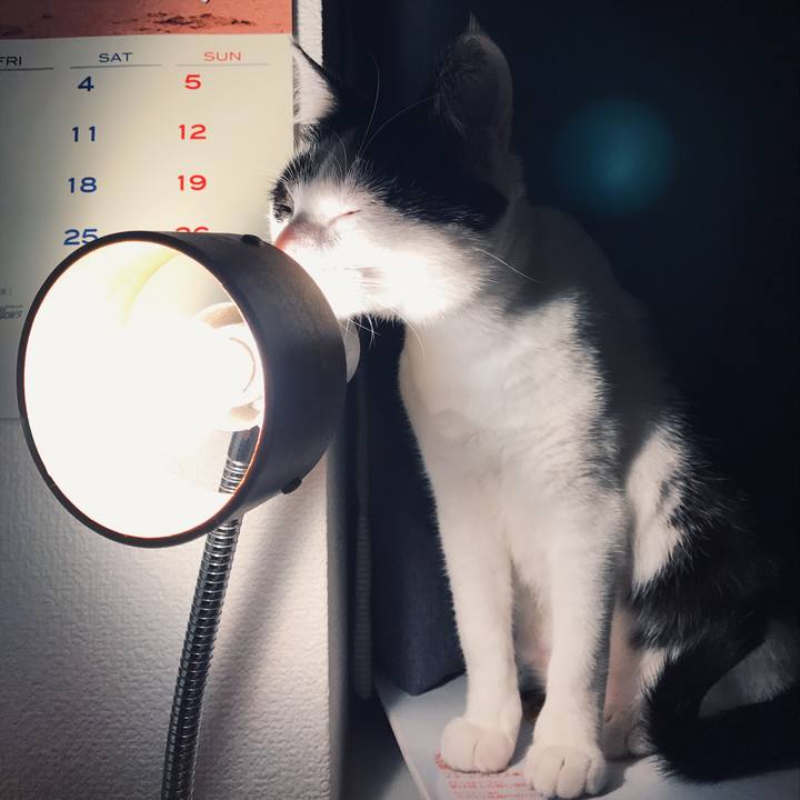 997aead5 8d56 4b07 84dc e76bb8c148f1