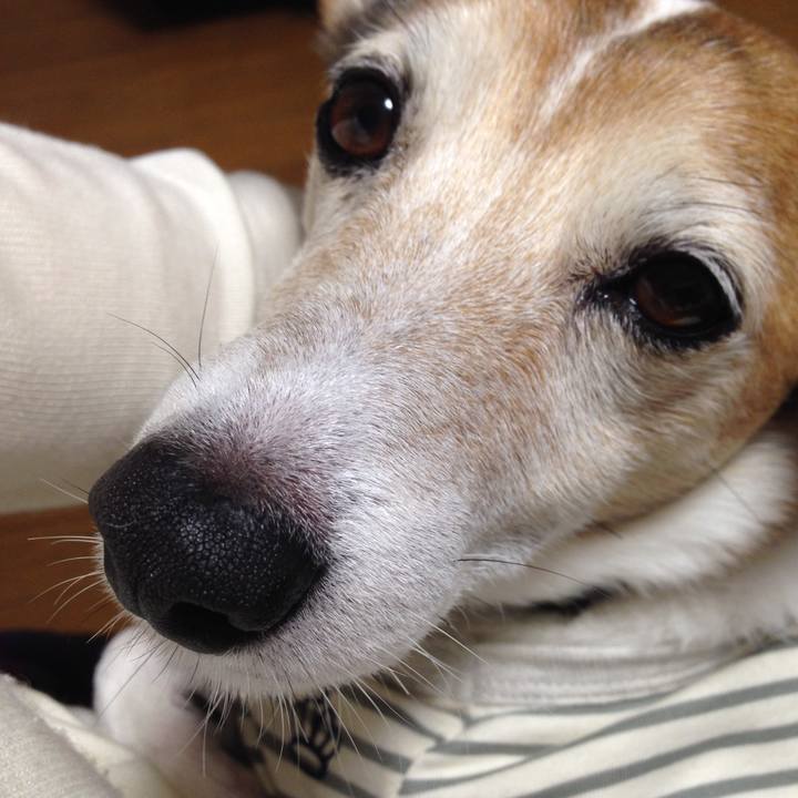 997bc7d8 4960 4b5f 881c fa43d47efb3f