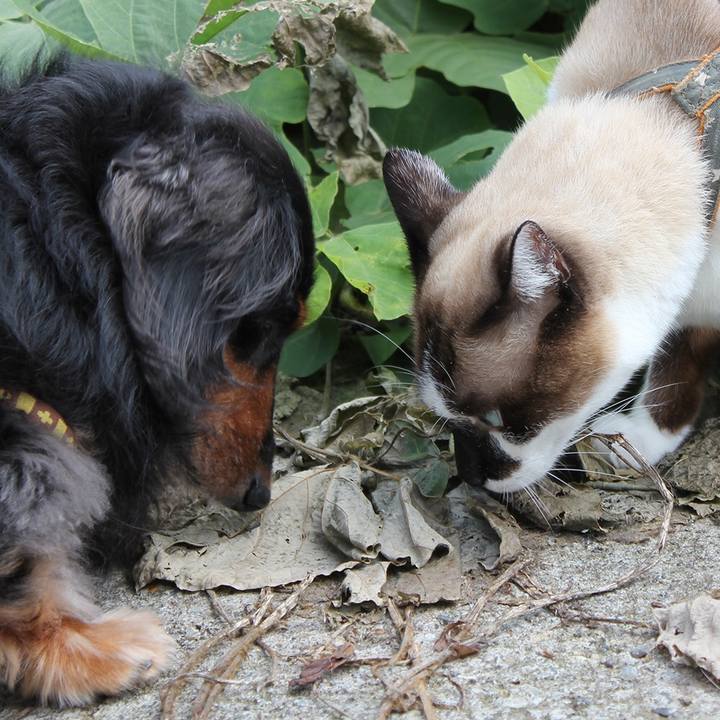 997bd9d4 663e 4c27 b8f5 bf24fd766e5c