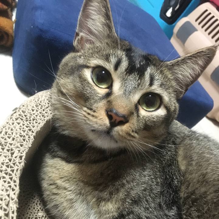 997c3790 3359 46f9 af2e 164b952f3f35