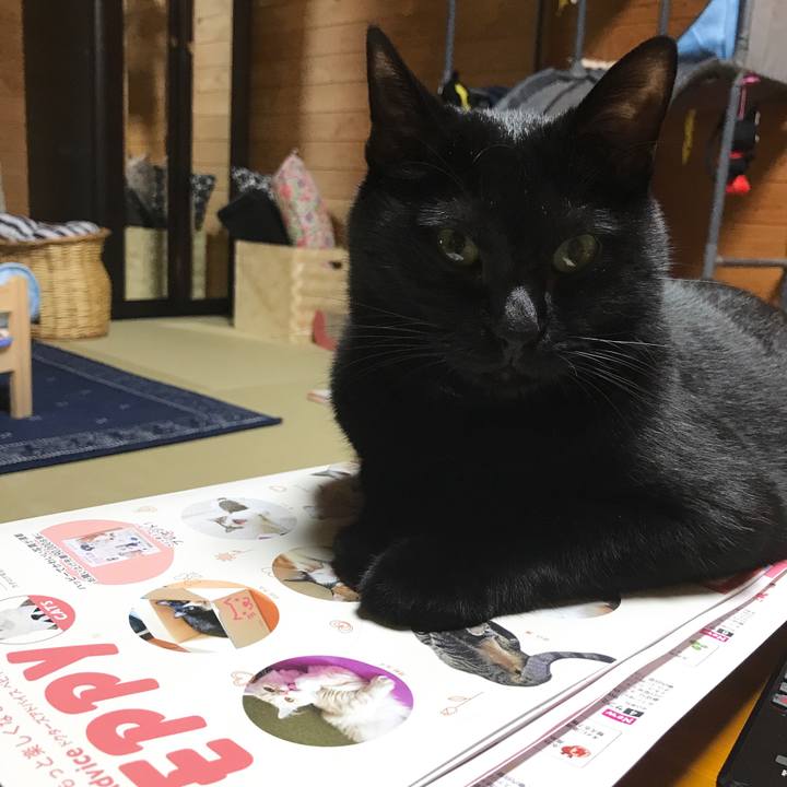 997c719f e3c4 4149 abca 71cb044f6ccd