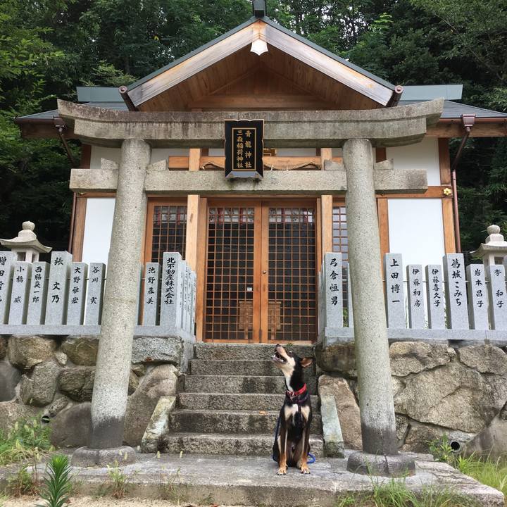 997cafab 1482 4676 ba9d 7133c40fa806