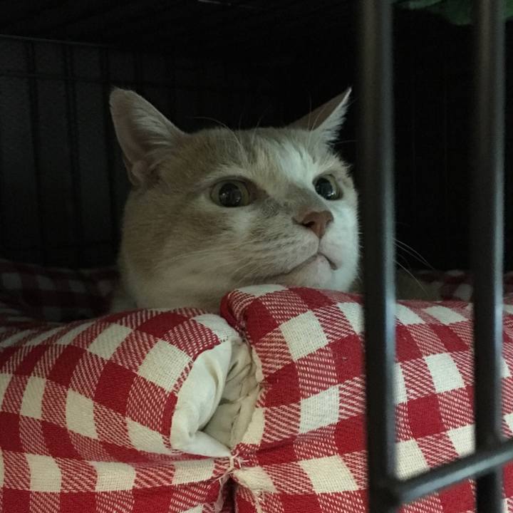 997cbaf5 31cb 41eb 920f 084f6e7a8392