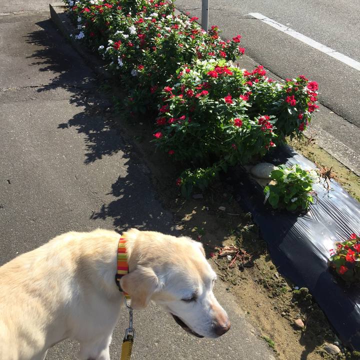 997d0739 1208 4548 992f 6f2104047fcd