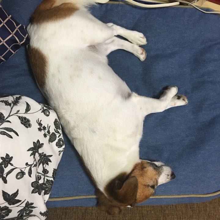 997db108 f78b 4190 94c6 1ce4d3542641