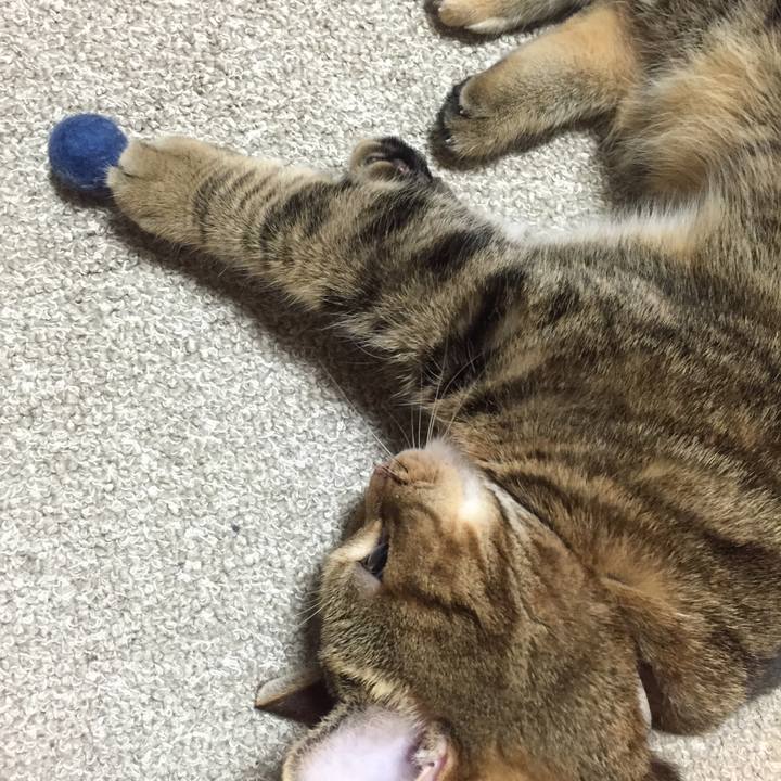 997dd5fb a8d6 4a17 9a35 7ab8497f269b