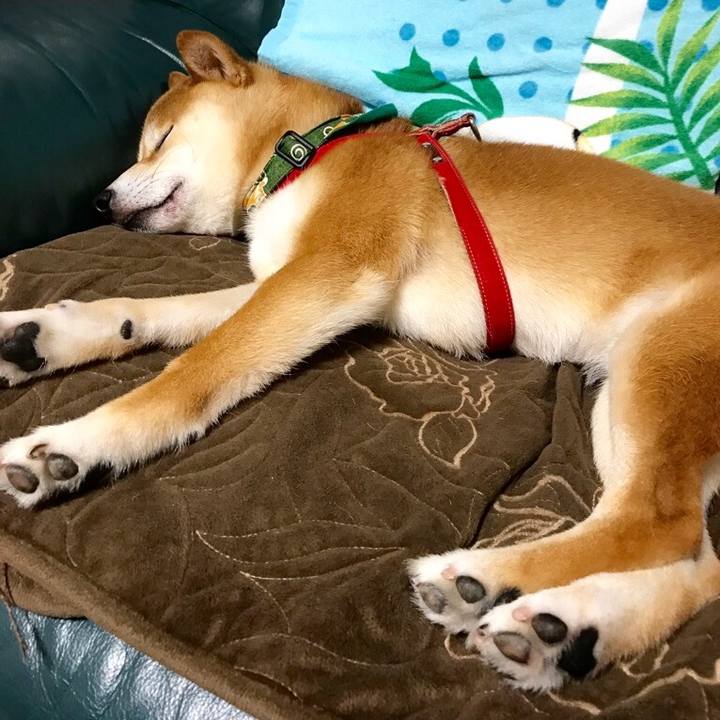 997dfdca 2eea 4ba6 ac0d 617230bb2211