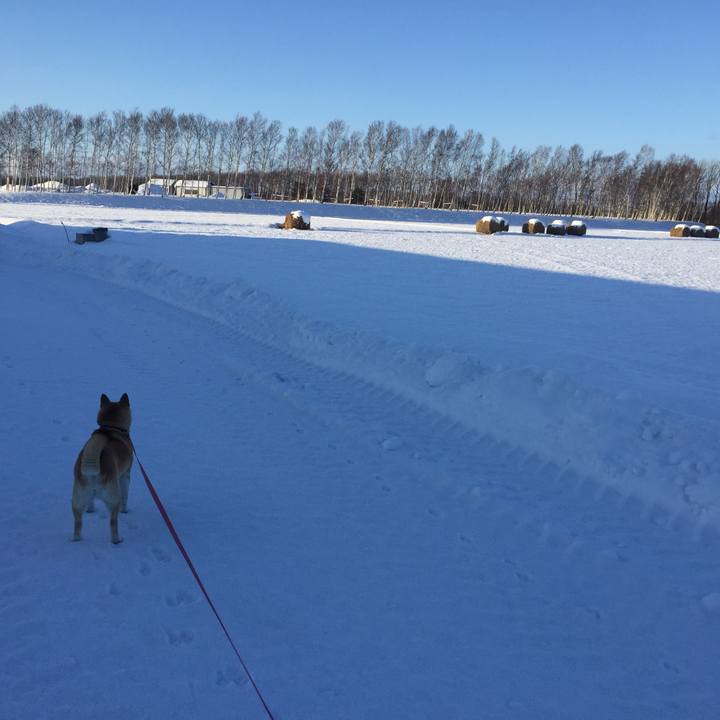 997dfe5b fedc 4649 b8cd 240415fddeaf