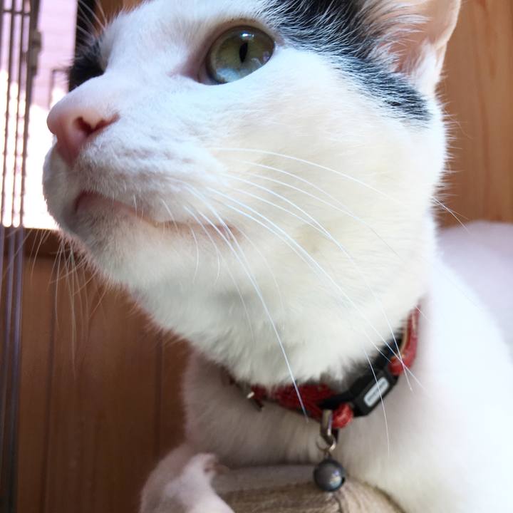 997e41c2 8950 4bfd 911f 75dfa3588630