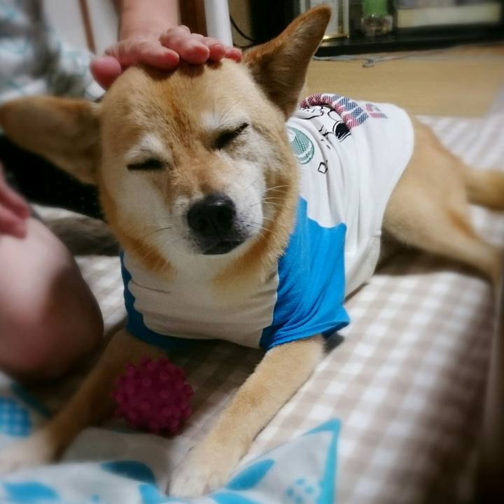 997f97dc 3605 41d1 920e 64bde4368e37