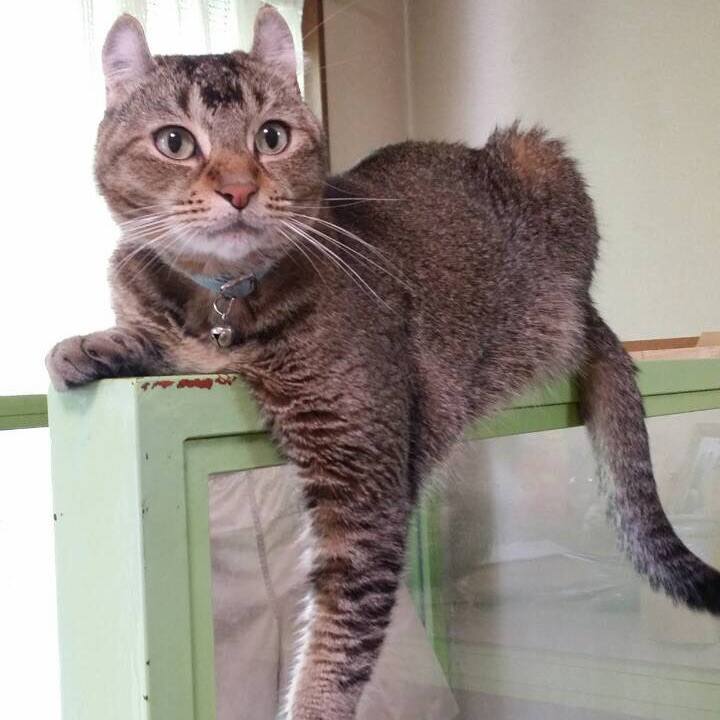 997fe7b8 cd5a 4b8c aabe ef3c5b574943