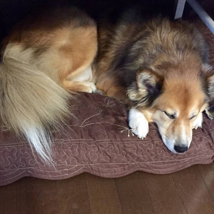 998042fc 2841 4d5d a89a a582c0578768