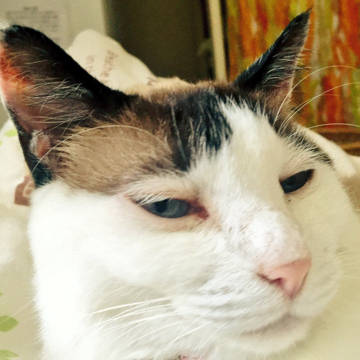 998122de e7d3 4c03 8c71 1f75d7aab883