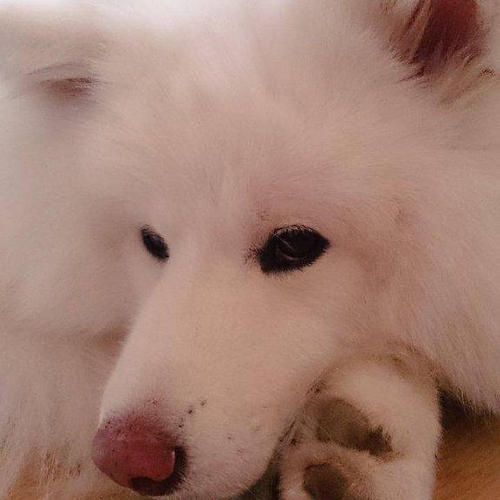 99814393 bf41 4565 a4e2 b80eca4c0f5b