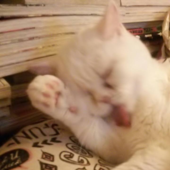 9981b747 fbf1 476d b925 552ab9d98164