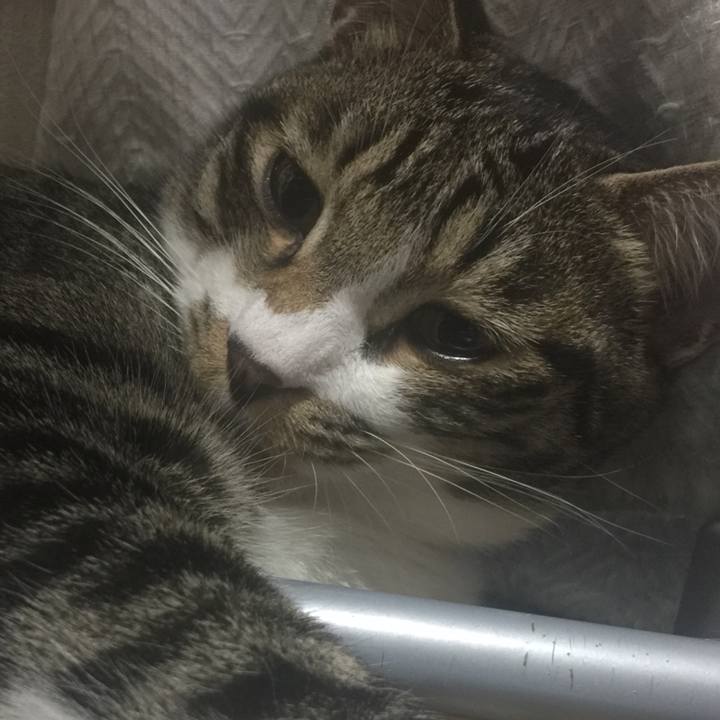 9981cfd8 2970 432a 8ba6 a89c0c9c3d78