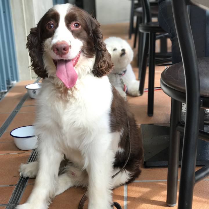 9982246a 93fe 46c8 b09e 11f95e945b0f