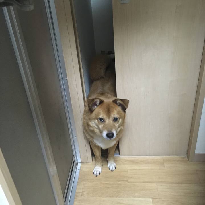 9982cbfa 4ffc 4c70 85a4 68abb01e0216