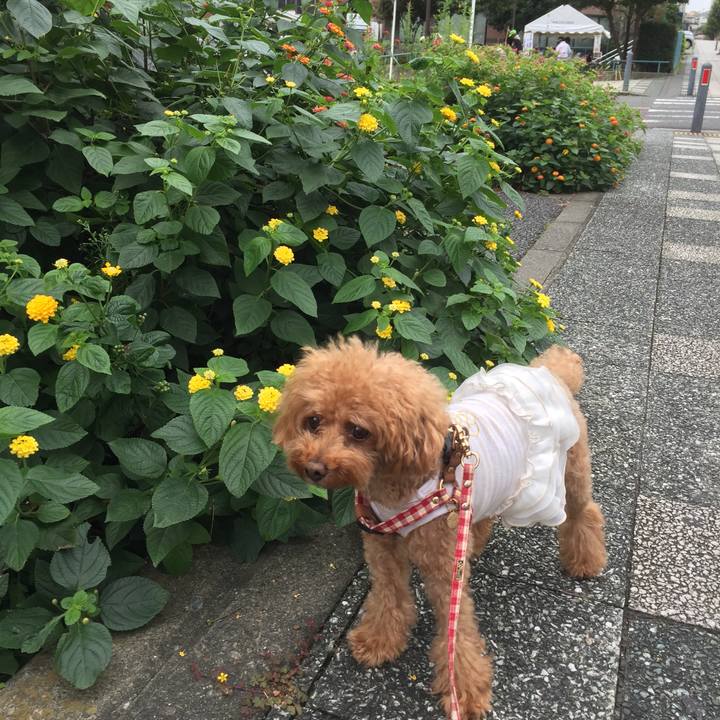 99832583 846c 420f b818 dc430870c4e9