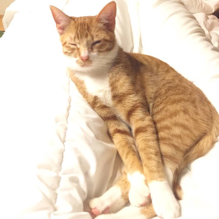 99836ddc c971 4d76 8933 4f76cc7b7d6f